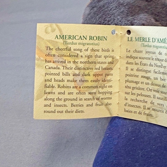 SINGING BIRD, PLAYS REAL BIRD CALLS, AMERICAN ROBIN, 6 L x 4 ½ W x 4 ¾ H INCH - Picture 9 of 16